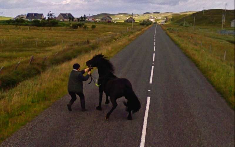8 Extraordinary Moments Captured by Google Street View 