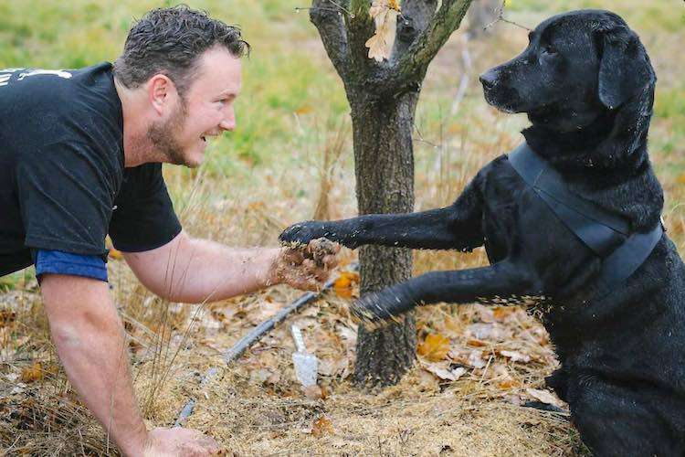 Truffle Hunting Offers New Life for Shelter Dogs in Australia 