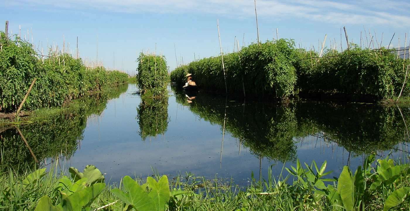Farmers Now Use Floating Gardens To Keep Crops Alive When it Floods - A Climate Crisis Lesson 