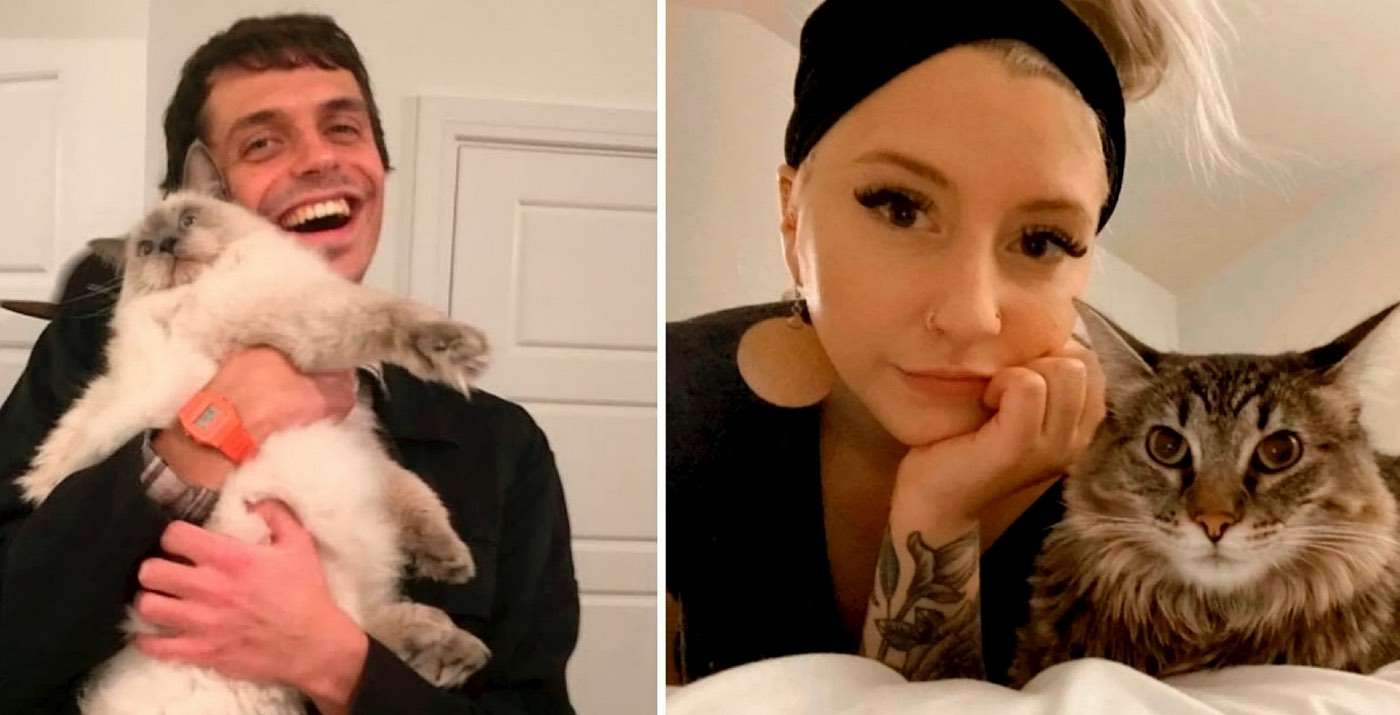 Man Gets Engaged to Woman He Traveled 4,000 Miles to Meet-After She Liked a Photo of His Chubby Cat 