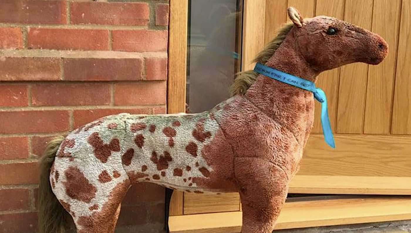Old Toy Horse Left in Trash Becomes Local Celebrity, With Villagers Moving it Daily From Home to Home 