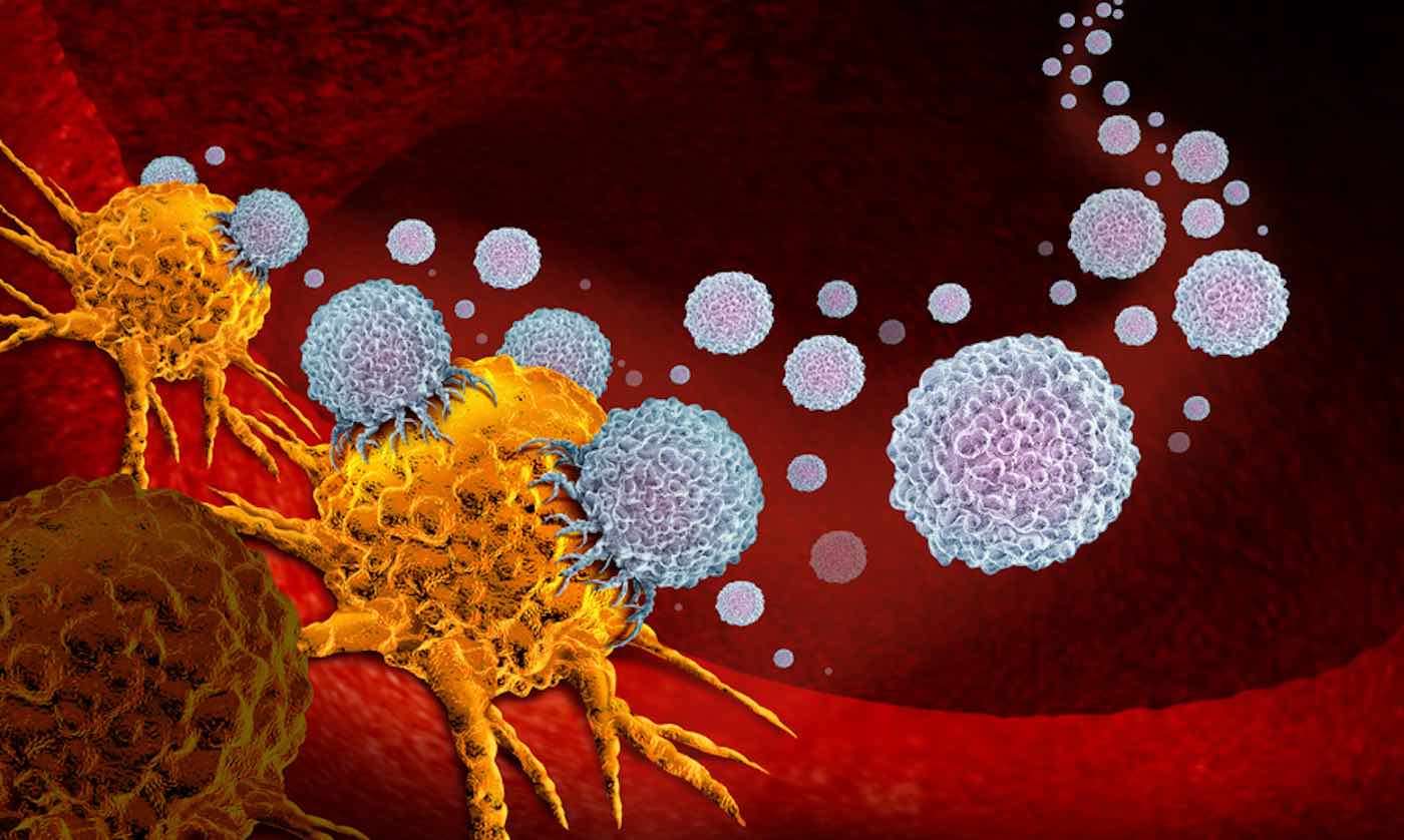 Scientists Discover Molecule That Triggers Self-Destruction of Pancreatic Cancer Cells 