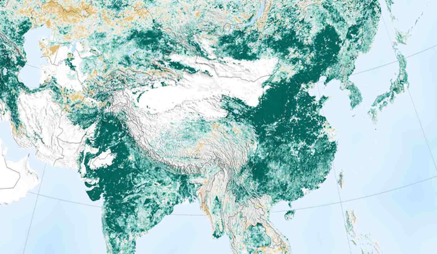 NASA Happily Reports the Earth is Greener, With More Trees Than 20 Years Ago-and It's Thanks to China, India 