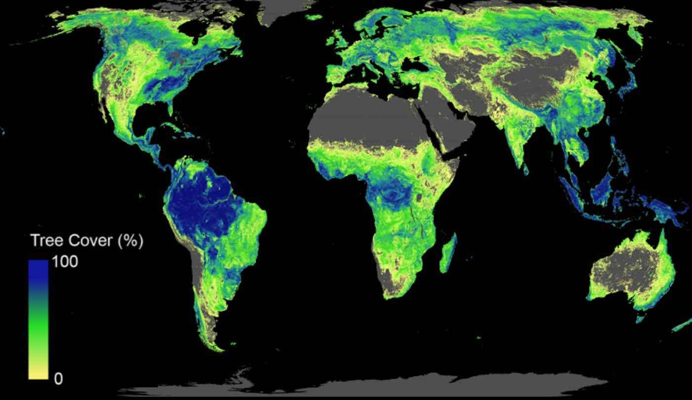 For First Time Ever, Scientists Identify How Many Trees to Plant and Where to Plant Them to Stop Climate Crisis 