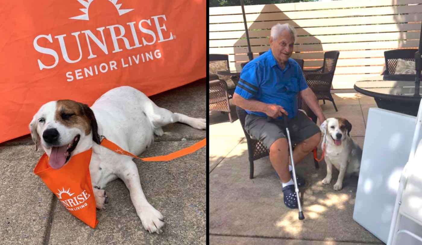 After Spending Life in Cage, Rescue Dog is Adopted By Senior Care Home the Day Before She Was to Be Euthanized 