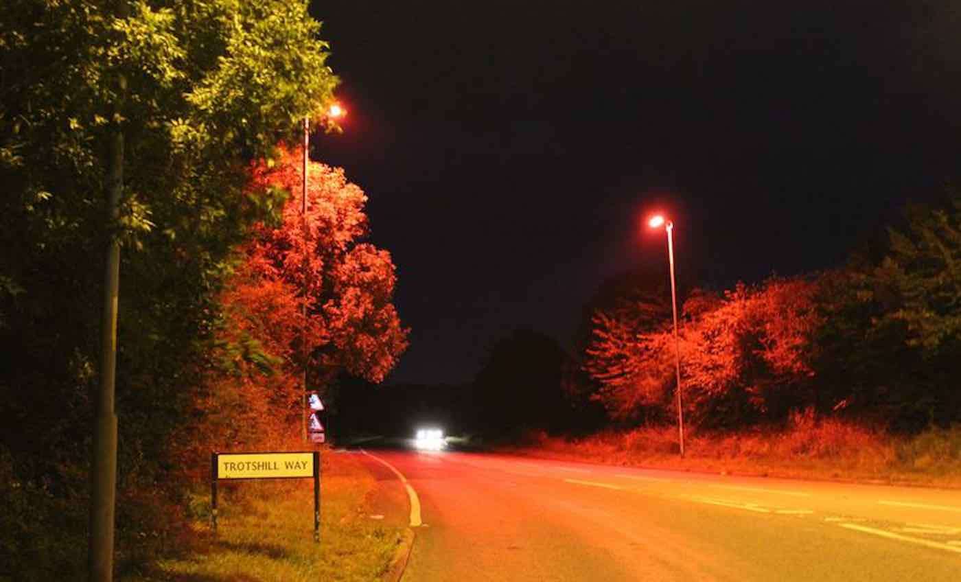 Struggling Bats Can Now Fly Freely Through Countryside Thanks to First-of-Their-Kind Street Lights 