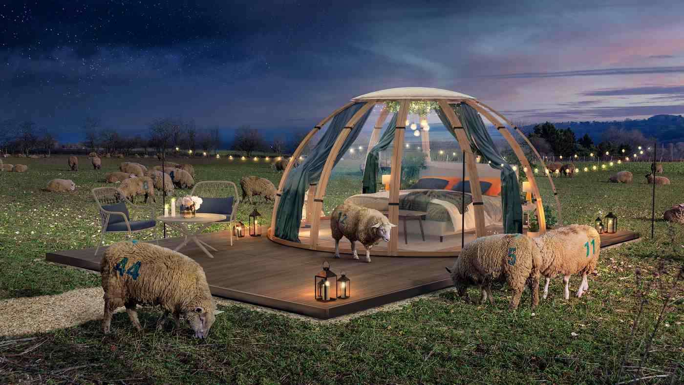 UK Residents Can Win a Good Night's Sleep in World's First BnB to Offer Actual Sheep-Counting 