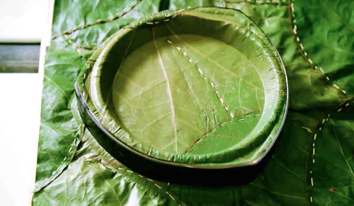 Instead of Paper, These Sturdy, Biodegradable Plates Are Made From Leaves 