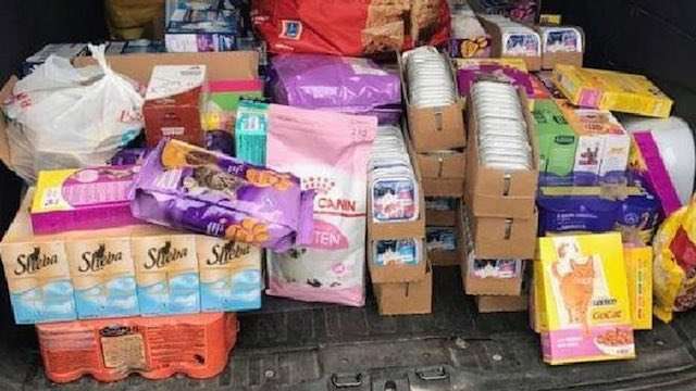 Theft of Food From Cat Charity Spurs Community to Donate Enough Supply For 2 Years 