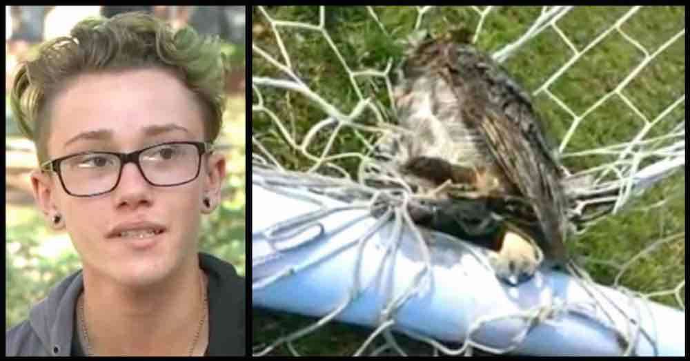 Teen Spots Scared Owl Tangled in Soccer Net But Is Able to Cut the Bird Free 