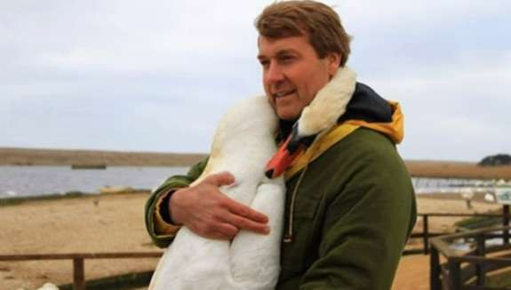 The Heartwarming Moment When This Swan Was Reunited With Its Rescuer 