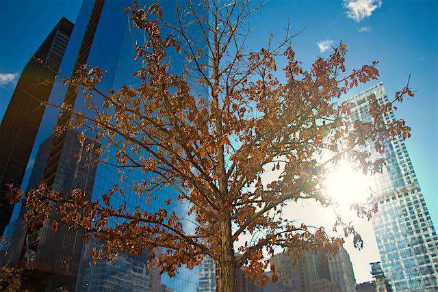 NYC Will Transform 30 Blocks into a Pedestrian Utopia For Earth Day 